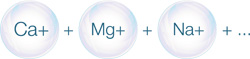 Essential Natural Minerals - Kent RO